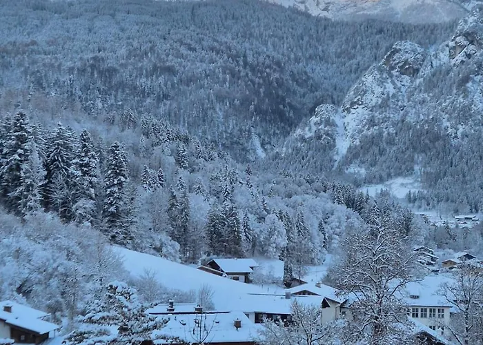 Appartement Bergidyll *